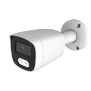 AltCam ICF24IR-3 уличная IP камера видеонаблюдения