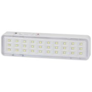 Светильник светодиодный DBA-101-0-20 30LED 5ч IP20 аварийный непостоянный Эра Б0044394