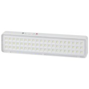 Светильник светодиодный DBA-103-0-20 60LED 5ч IP20 аварийный непостоянный Эра Б0044396