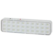 Светильник светодиодный DBA-102-0-20 30LED 5ч IP20 выход аварийный непостоянный Эра Б0044395