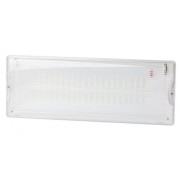 Светильник светодиодный DPA-301-1-65 IP65 40LED 3ч аварийный постоянный Эра Б0051843