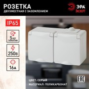 Розетка 2-м ОП Эра Эксперт 11-2603-03 16А IP65 горизонт. 250В 2х2P+E сер. Эра Б0035991