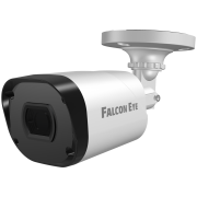 Видеокамера сетевая (IP) Falcon Eye FE-IPC-BP2e-30p