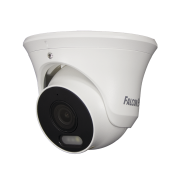 FE-IPC-D2-30p Falcon Eye